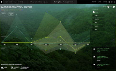Earth insights <a href="https://ffctn.com/en/services/data-visualization">ffunction</a>