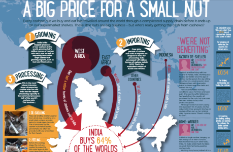A big price for a small nut - cashew notes fact sheet <a href="https://hesmid.nl/test/wp-content/uploads/2017/11/cashew-notes-fact-sheet.pdf">pdf</a> A big price for a small nut - cashew notes fact sheet